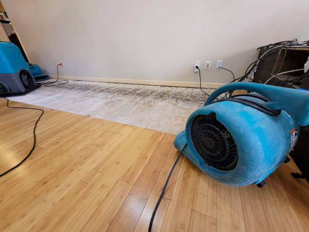 Professional Structural Drying technician working in Taylors, SC